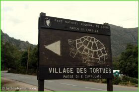 Village des Tortues